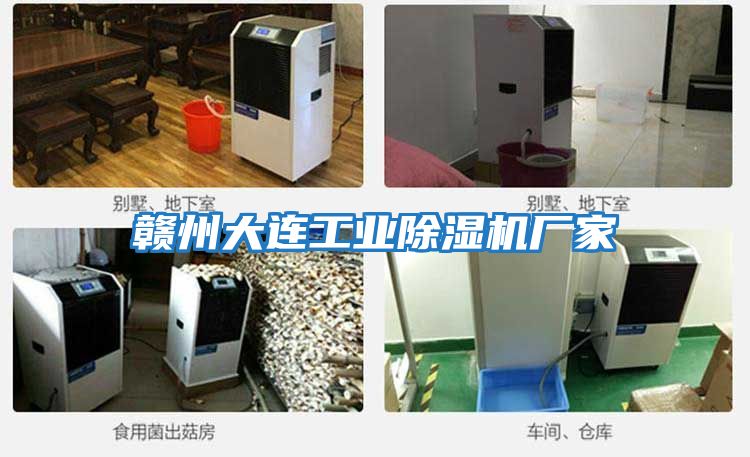 贛州大連工業除濕機廠家