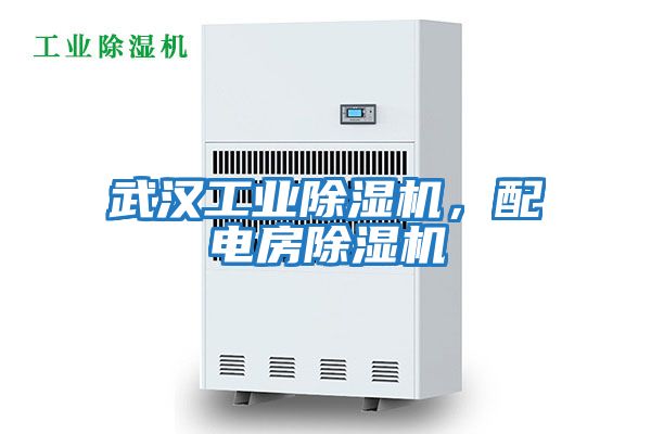 武漢工業除濕機，配電房除濕機