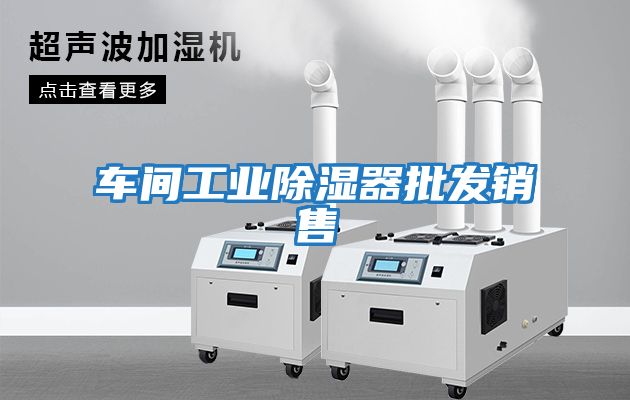 車(chē)間工業(yè)除濕器批發(fā)銷(xiāo)售