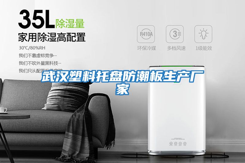 武漢塑料托盤(pán)防潮板生產(chǎn)廠家