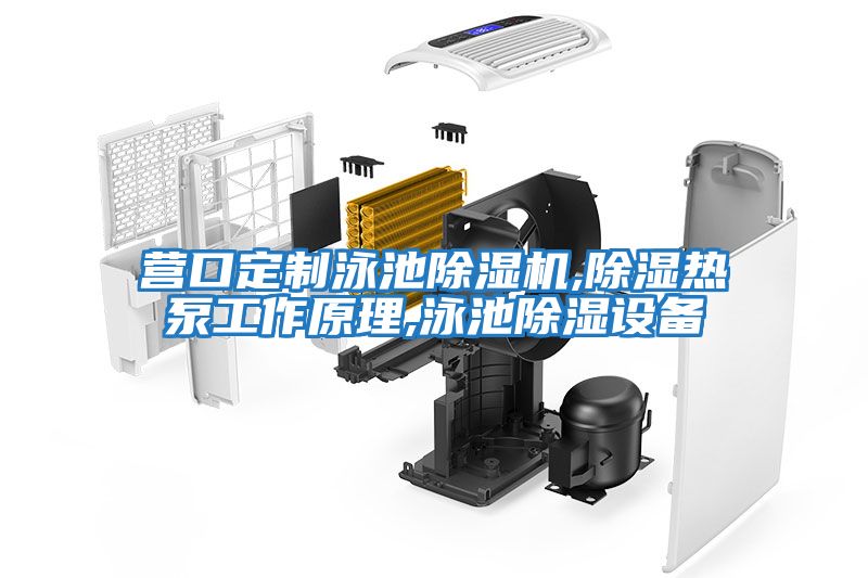 營(yíng)口定制泳池除濕機(jī),除濕熱泵工作原理,泳池除濕設(shè)備