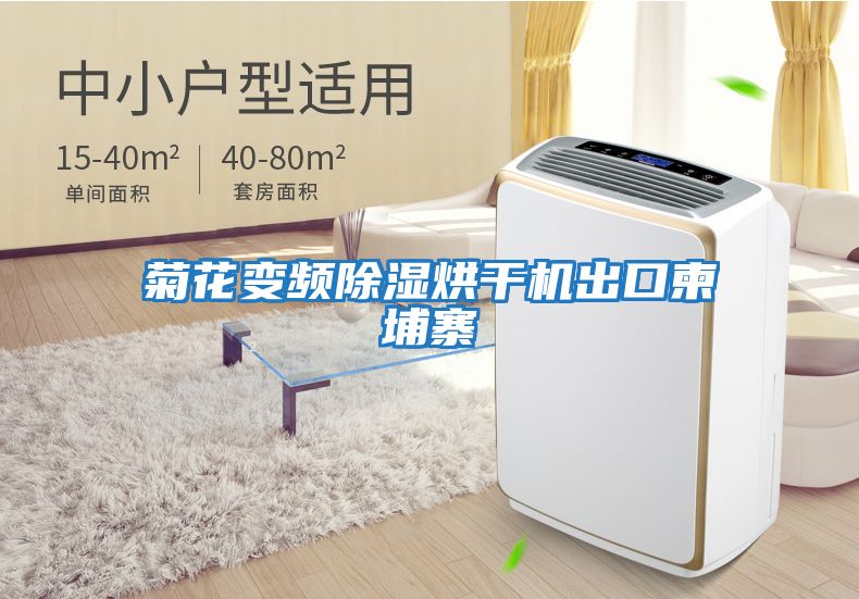 菊花變頻除濕烘干機(jī)出口柬埔寨