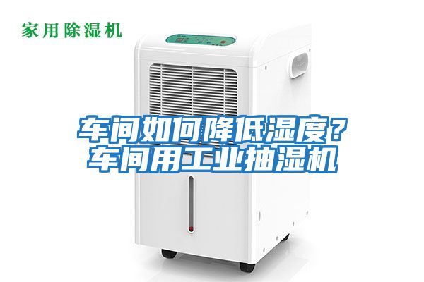 車(chē)間如何降低濕度？車(chē)間用工業(yè)抽濕機(jī)