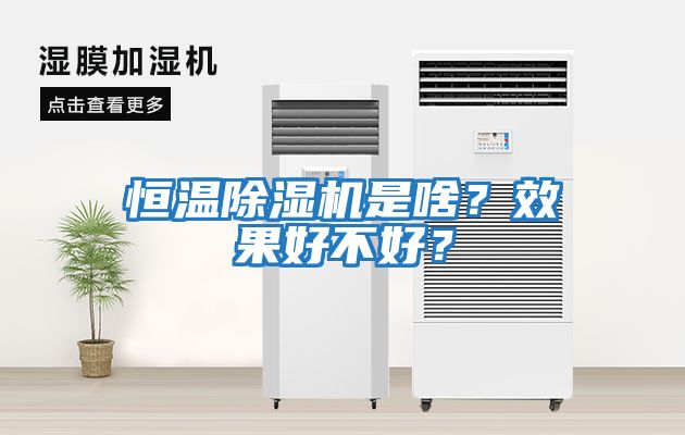 恒溫除濕機(jī)是啥？效果好不好？