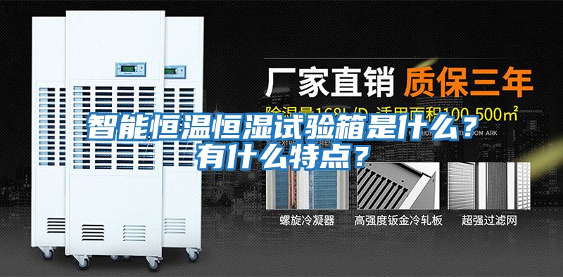 智能恒溫恒濕試驗箱是什么？有什么特點？