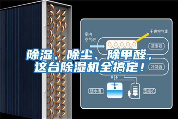 除濕、除塵、除甲醛，這臺除濕機全搞定！