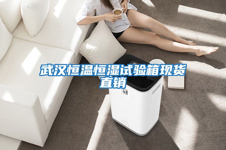 武漢恒溫恒濕試驗(yàn)箱現(xiàn)貨直銷(xiāo)