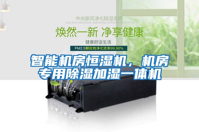 智能機房恒濕機，機房專用除濕加濕一體機