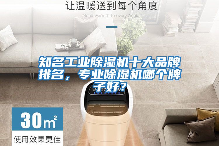 知名工業(yè)除濕機十大品牌排名，專業(yè)除濕機哪個牌子好？