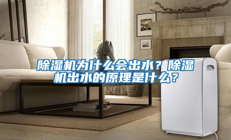 除濕機(jī)為什么會(huì)出水？除濕機(jī)出水的原理是什么？