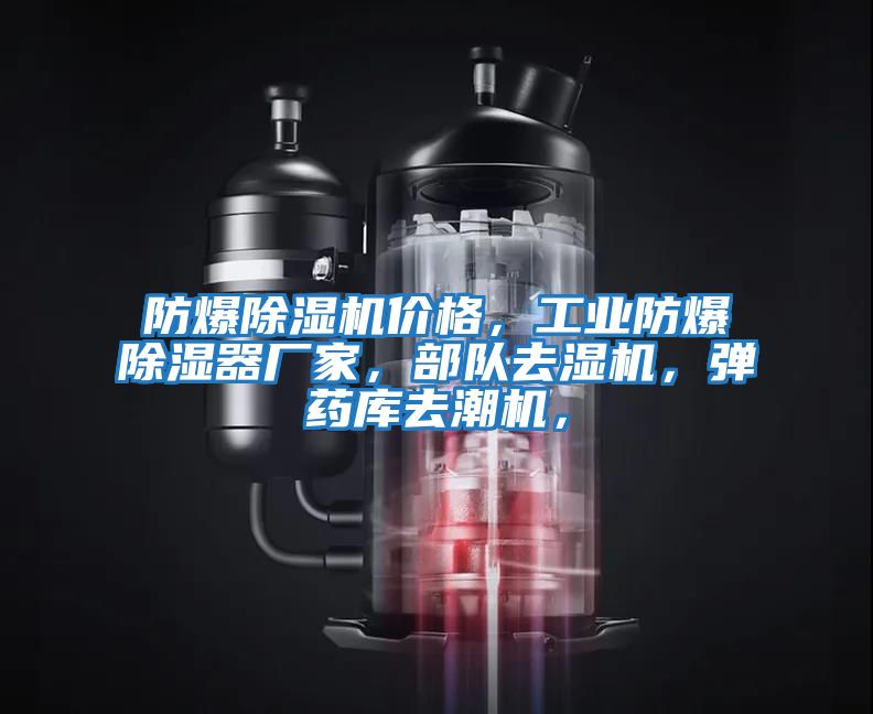 防爆除濕機價格，工業(yè)防爆除濕器廠家，部隊去濕機，彈藥庫去潮機，