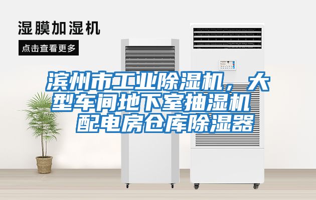 濱州市工業(yè)除濕機(jī)，大型車間地下室抽濕機(jī)  配電房倉庫除濕器