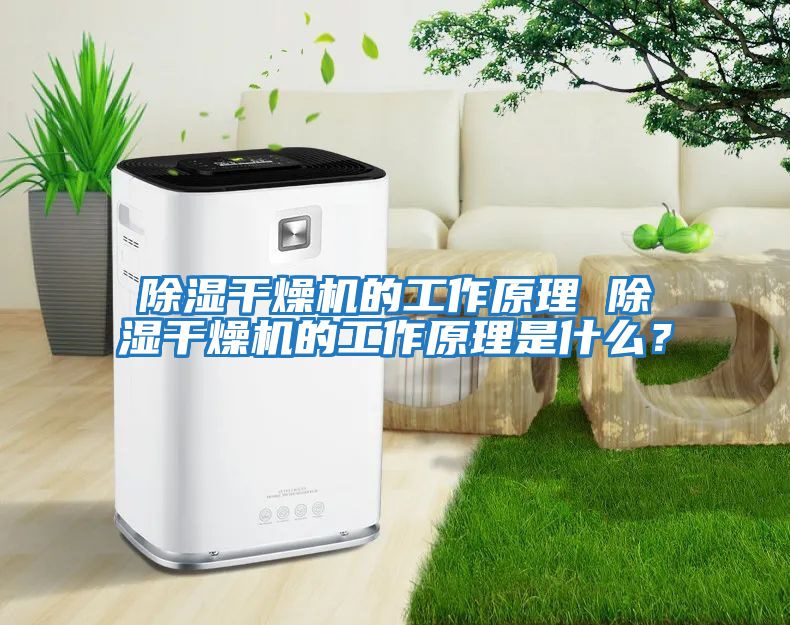除濕干燥機的工作原理 除濕干燥機的工作原理是什么？
