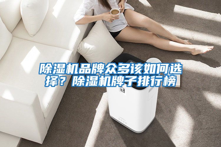 除濕機(jī)品牌眾多該如何選擇？除濕機(jī)牌子排行榜