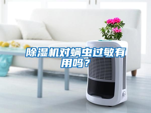 除濕機(jī)對螨蟲過敏有用嗎？