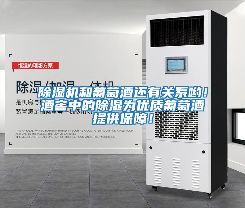 除濕機和葡萄酒還有關系喲！酒窖中的除濕為優質葡萄酒提供保障！