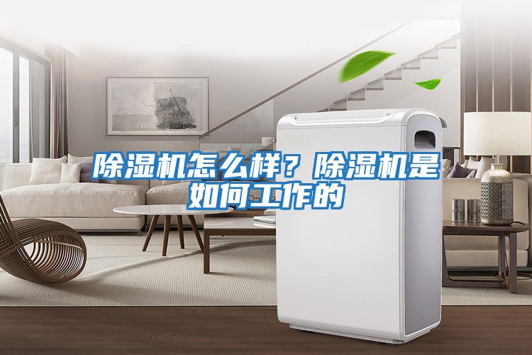 除濕機(jī)怎么樣？除濕機(jī)是如何工作的