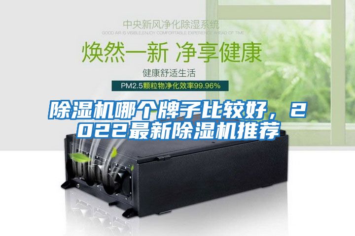 除濕機哪個牌子比較好，2022最新除濕機推薦