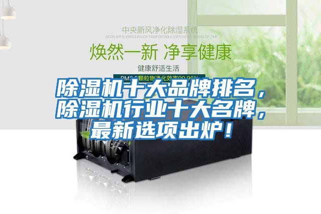 除濕機(jī)十大品牌排名，除濕機(jī)行業(yè)十大名牌，最新選項(xiàng)出爐！