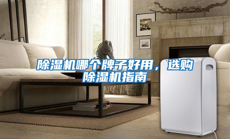 除濕機(jī)哪個(gè)牌子好用，選購(gòu)除濕機(jī)指南