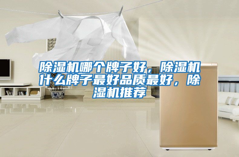 除濕機哪個牌子好，除濕機什么牌子最好品質最好，除濕機推薦