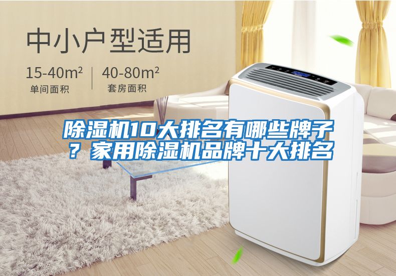 除濕機10大排名有哪些牌子？家用除濕機品牌十大排名
