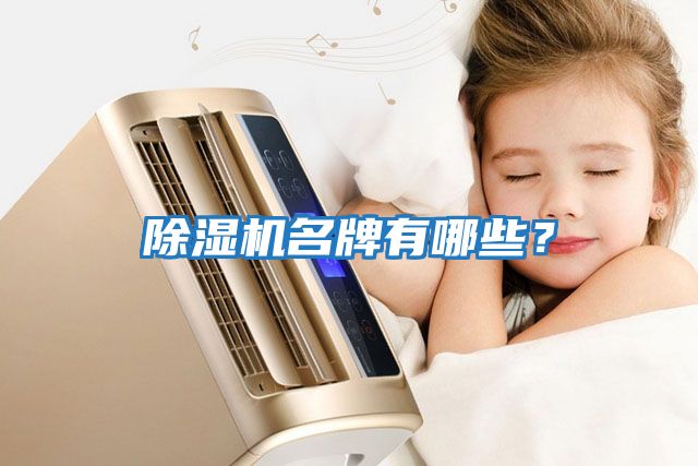 除濕機名牌有哪些？
