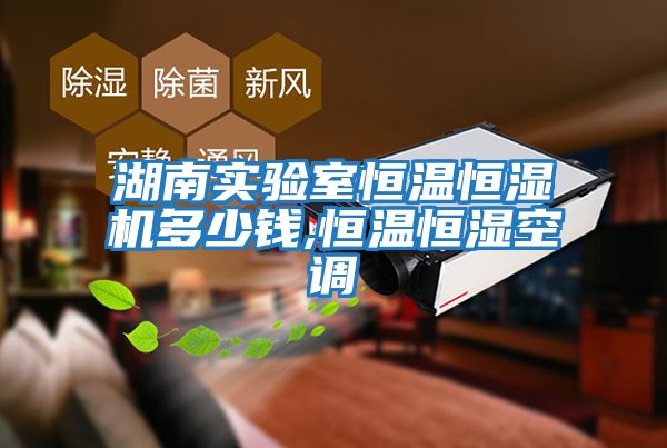 湖南實驗室恒溫恒濕機(jī)多少錢,恒溫恒濕空調(diào)
