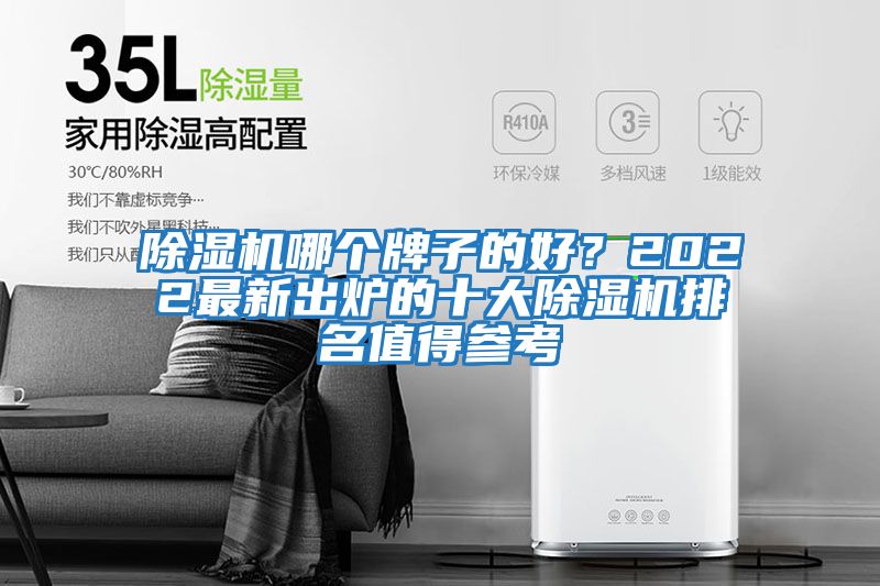 除濕機哪個牌子的好？2022最新出爐的十大除濕機排名值得參考