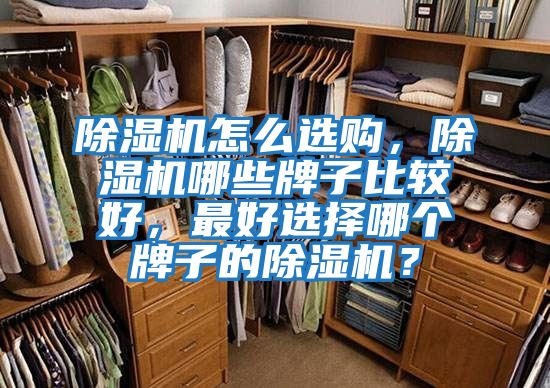 除濕機(jī)怎么選購，除濕機(jī)哪些牌子比較好，最好選擇哪個(gè)牌子的除濕機(jī)？