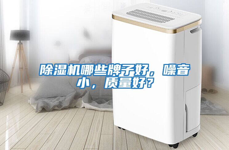 除濕機哪些牌子好，噪音小，質量好？