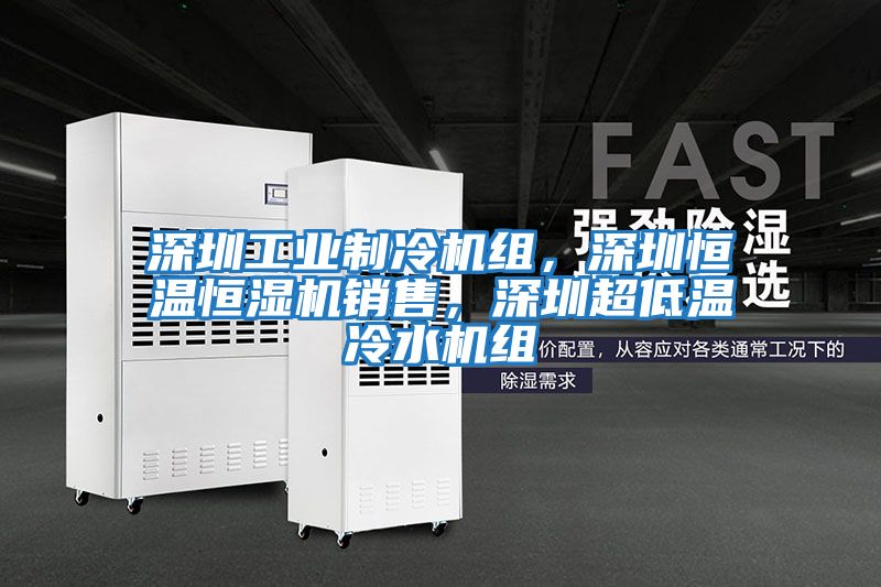 深圳工業制冷機組，深圳恒溫恒濕機銷售，深圳超低溫冷水機組