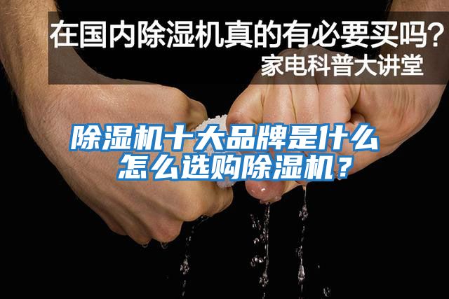 除濕機(jī)十大品牌是什么 怎么選購(gòu)除濕機(jī)？