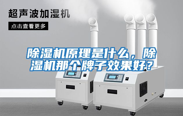 除濕機(jī)原理是什么，除濕機(jī)那個(gè)牌子效果好？