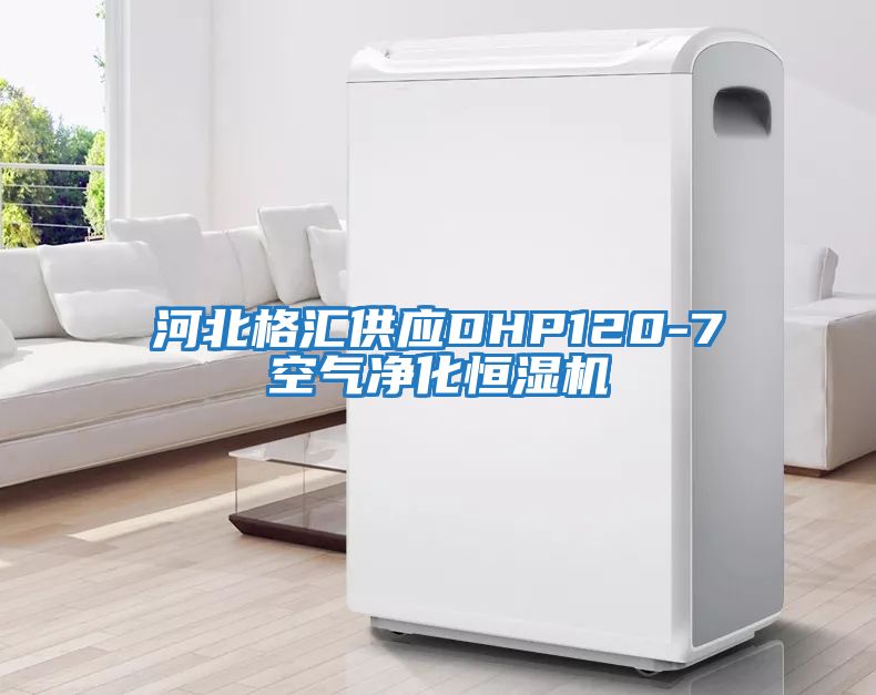 河北格匯供應(yīng)DHP120-7空氣凈化恒濕機