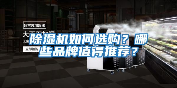 除濕機如何選購？哪些品牌值得推薦？