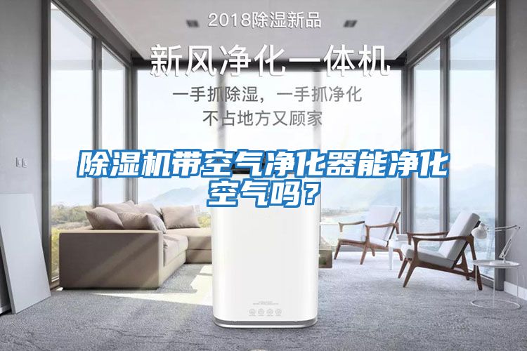 除濕機帶空氣凈化器能凈化空氣嗎？