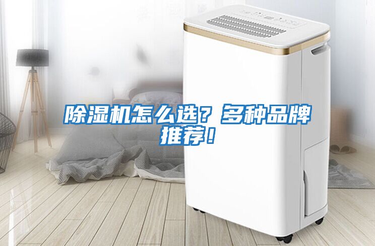 除濕機怎么選？多種品牌推薦！