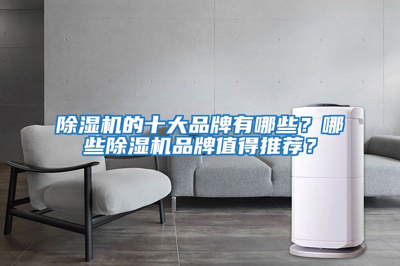 除濕機(jī)的十大品牌有哪些？哪些除濕機(jī)品牌值得推薦？