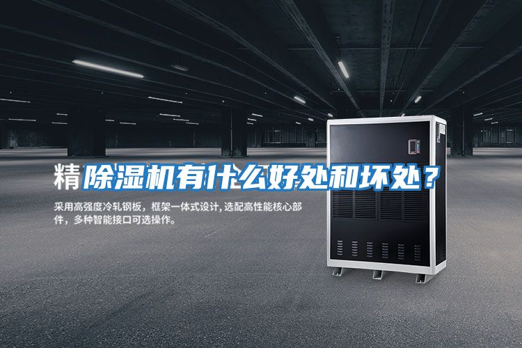 除濕機有什么好處和壞處？