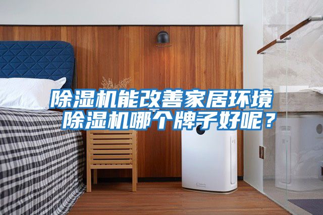 除濕機能改善家居環境 除濕機哪個牌子好呢？