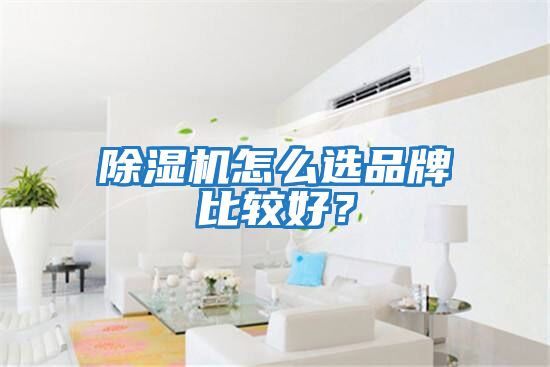 除濕機怎么選品牌比較好？