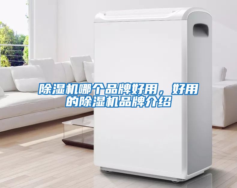 除濕機(jī)哪個品牌好用，好用的除濕機(jī)品牌介紹