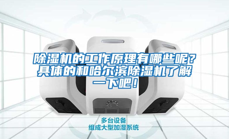 除濕機的工作原理有哪些呢？具體的和哈爾濱除濕機了解一下吧！