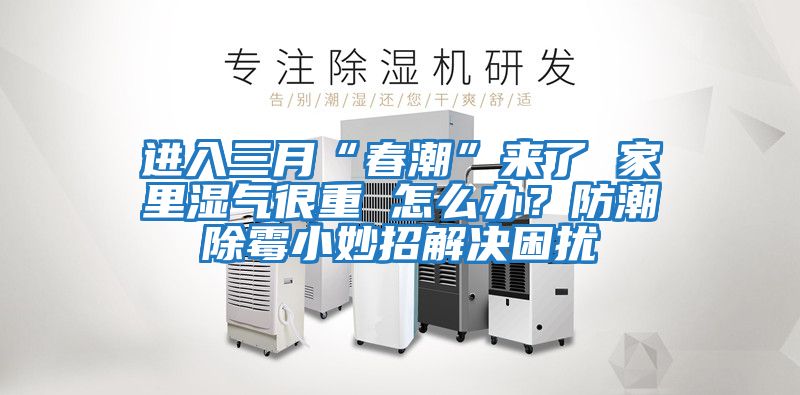 進(jìn)入三月“春潮”來了 家里濕氣很重 怎么辦？防潮除霉小妙招解決困擾