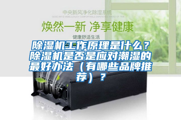 除濕機工作原理是什么？除濕機是否是應對潮濕的最好辦法（有哪些品牌推薦）？