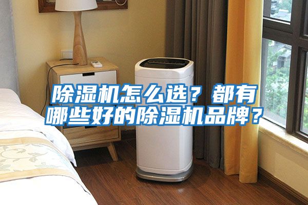 除濕機怎么選？都有哪些好的除濕機品牌？