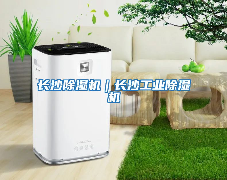 長沙除濕機｜長沙工業除濕機