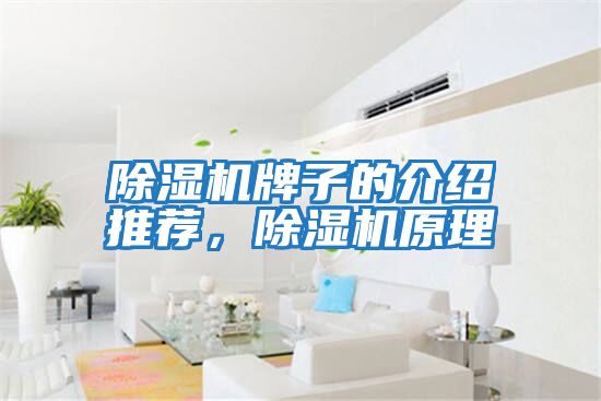 除濕機(jī)牌子的介紹推薦，除濕機(jī)原理
