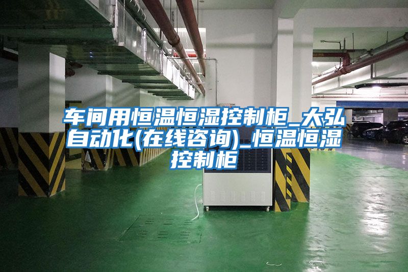 車間用恒溫恒濕控制柜_大弘自動(dòng)化(在線咨詢)_恒溫恒濕控制柜